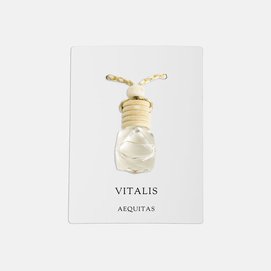 Mood Diffuser (Prism) - AEQUITAS