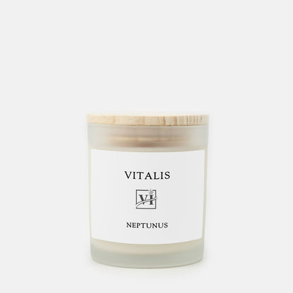 Frosted Glass - NEPTUNUS